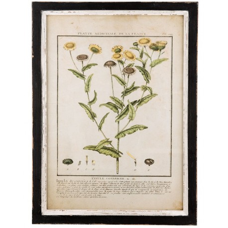 Obraz Prowansalski w Postarzanej Ramie B