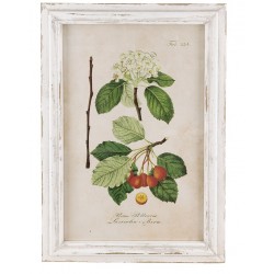 Obraz Prowansalski w Postarzanej Ramie C