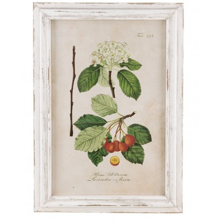 Obraz Prowansalski w Postarzanej Ramie C