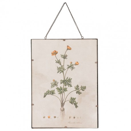 Obraz Retro z Rośliną B