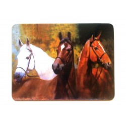 Podkładka korkowa konie