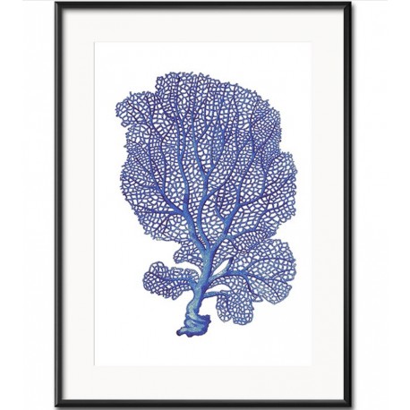 Obraz z Rafą Koralową C