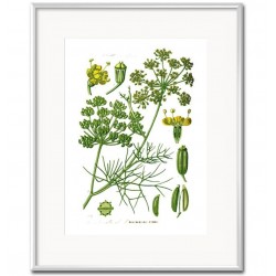 Obraz Vintage z Roślinami B