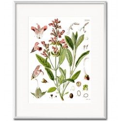 Obraz Vintage z Roślinami C