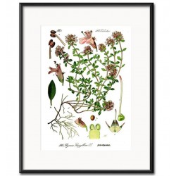 Obraz Vintage z Roślinami E