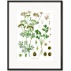Obraz Vintage z Roślinami F