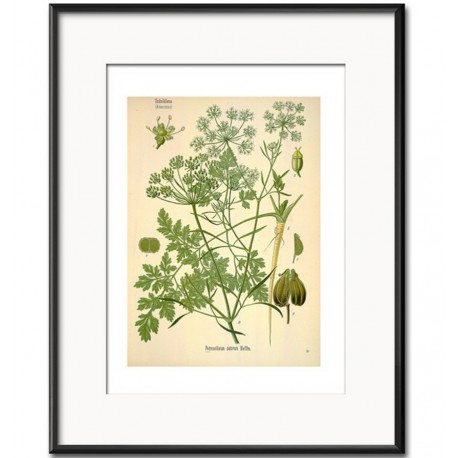 Obraz Retro z Roślinami D