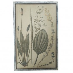 Obraz Vintage Chic z Roślinami A