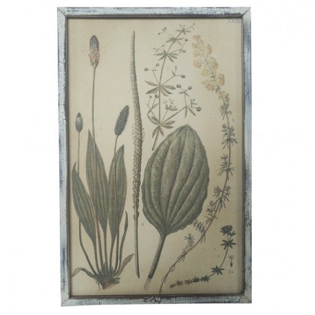 Obraz Vintage Chic z Roślinami A