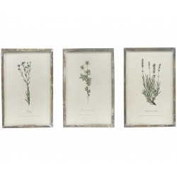 Obrazy Vintage Chic z Roślinami 3szt.
