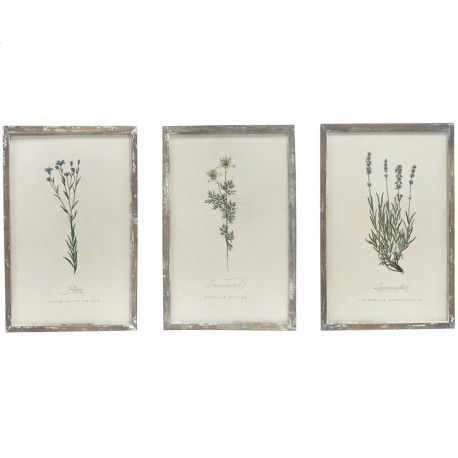 Obrazy Vintage Chic z Roślinami 3szt.