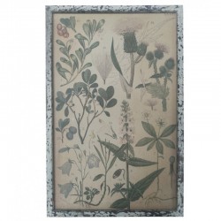 Obraz Vintage Chic z Roślinami B