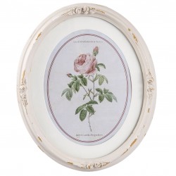 Obrazek z Różą Prowansalski Owalny A