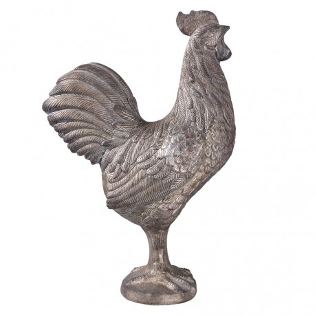 Kogut Ozdobny A