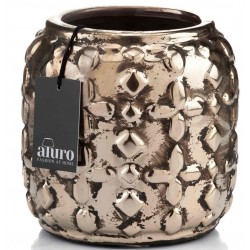 Osłonka Prowansalska 