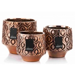 Osłonka Prowansalska M Carum Aluro