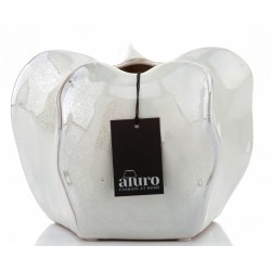 Osłonka Prowansalska M Muria Aluro