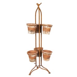 Kwietnik Prowansalski z Osłonkami