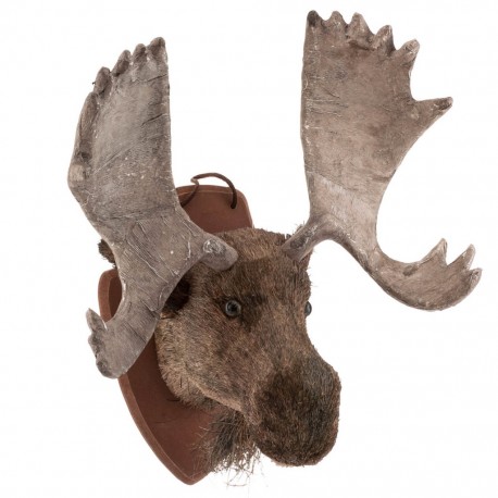 Poroże Łoś Aluro Nature