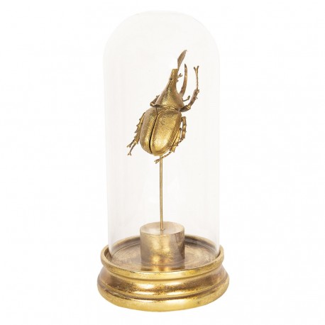 Dekoracja Pod Szklanym Kloszem Chrabąszcz A