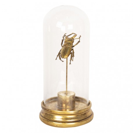 Dekoracja Pod Szklanym Kloszem Chrabąszcz B