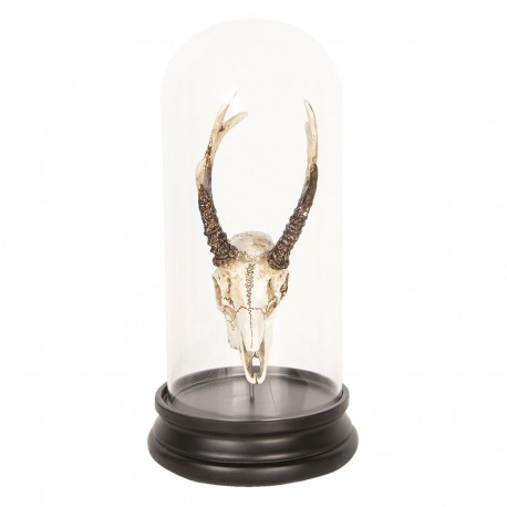 Dekoracja Pod Szklanym Kloszem Poroże A