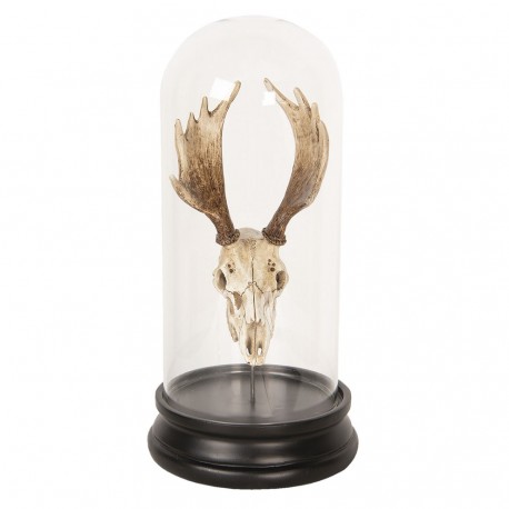 Dekoracja Pod Szklanym Kloszem Poroże B