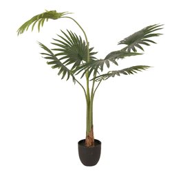 Sztuczna Palma w Doniczce Clayre & Eef