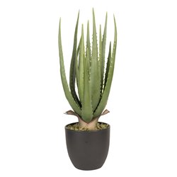 Sztuczna Roślina w Doniczce Aloes Clayre & Eef