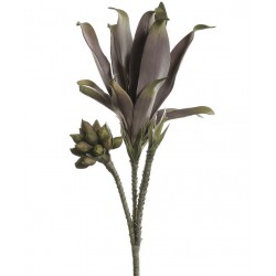 Kwiaty Sztuczne Belldeco Brązowe