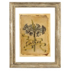 Obrazek Belldeco Kwiat 1