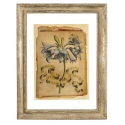 Obrazek Belldeco Kwiat 2