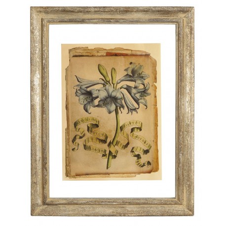 Obrazek Belldeco Kwiat 2