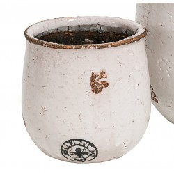 Donice Belldeco Roma B