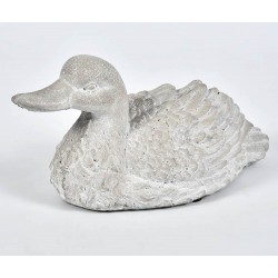 Kaczka Belldeco Grigio