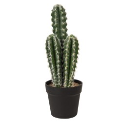 Sztuczny Kaktus w Doniczce A Clayre & Eef