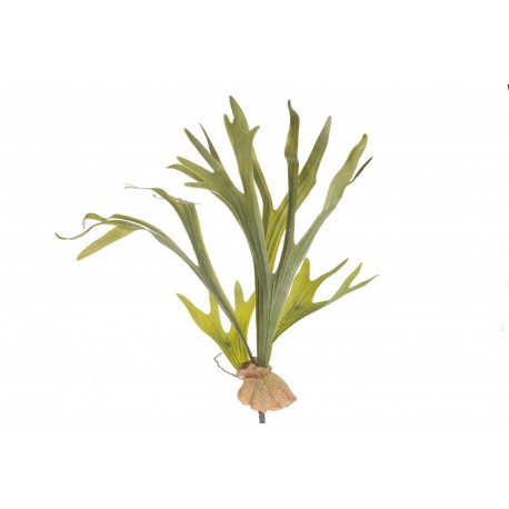 Roślina Sztuczna Belldeco Płaskla 1