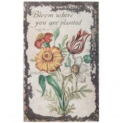 Obrazek Belldeco Garden Green 2