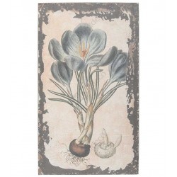 Obrazek Belldeco Garden Green 3