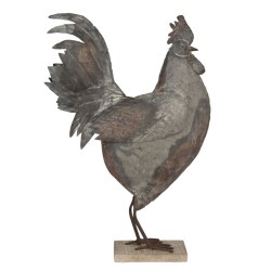 Kogut Ozdobny B
