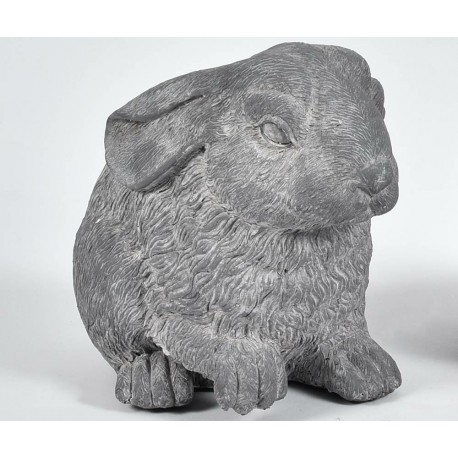 Zając Belldeco Lill Old A