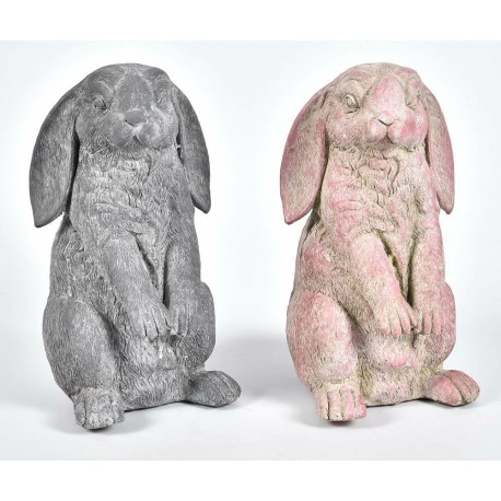 Zając Belldeco Lill Old A