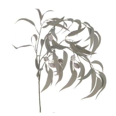 Roślina Sztuczna Belldeco Czyściec