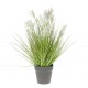 Roślina Sztuczna Belldeco Trawa Iglasta w Doniczce A