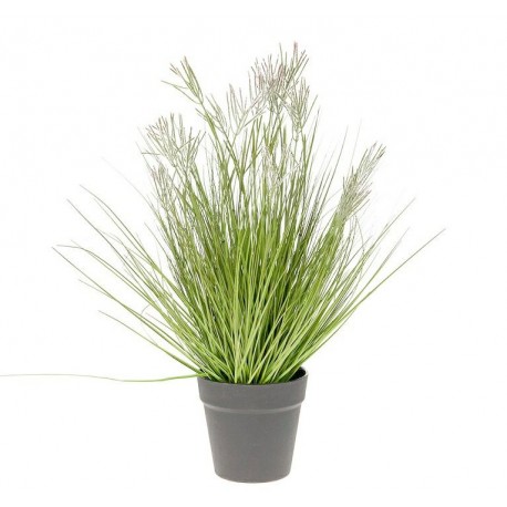 Roślina Sztuczna Belldeco Trawa Iglasta w Doniczce A