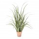 Roślina Sztuczna Belldeco Trawa w Doniczce A