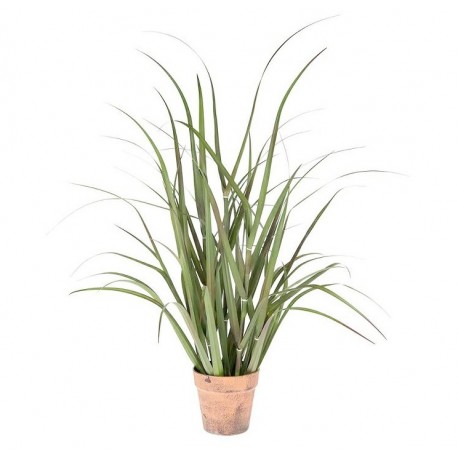 Roślina Sztuczna Belldeco Trawa w Doniczce A