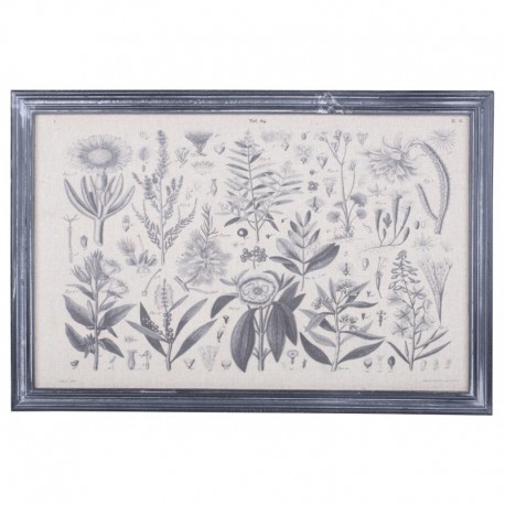 Obraz z Gatunkami Roślin Chic Antique A