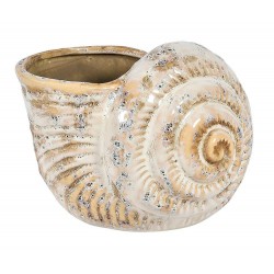 Osłonka Misa Belldeco Muszla