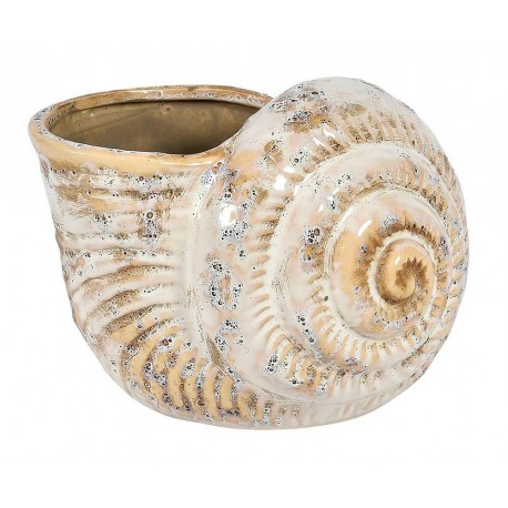 Osłonka Misa Belldeco Muszla